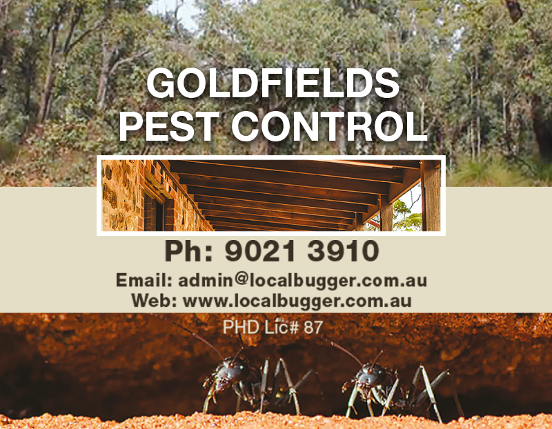 Kalgoorlie’s Leading Pest Control Specialist & Solutions Provider